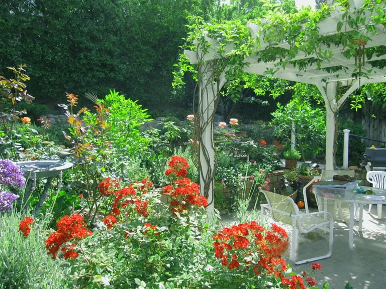 Local yard maintenance in Glendale, CA by Mary Cardea Landscaping