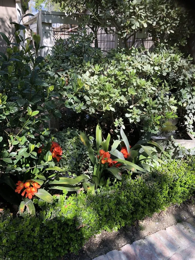 Expert residential landscaping in Glendale, CA by Mary Cardea Landscaping