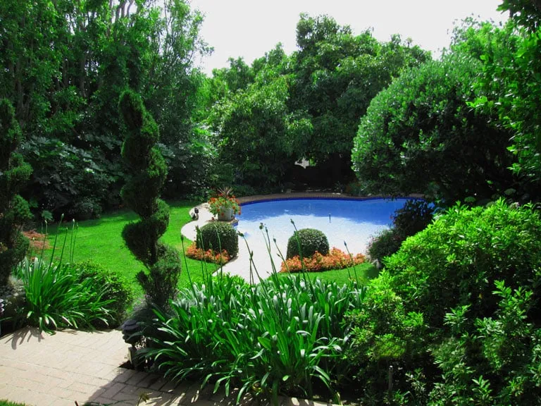 Custom yard maintenance in Glendale, CA - Mary Cardea Landscaping