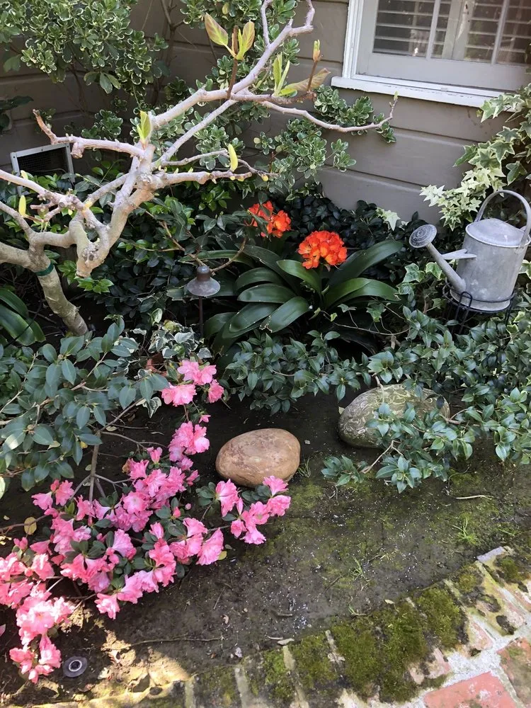 Reliable lawn care service experts serving Glendale, CA - Mary Cardea Landscaping