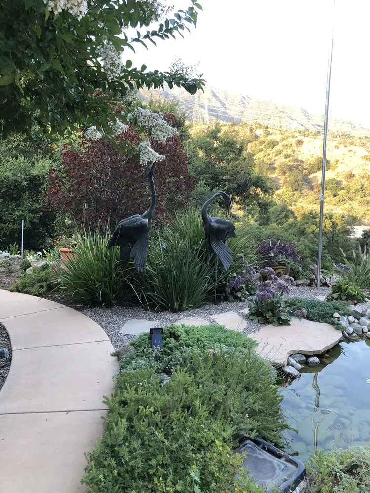 Reliable yard cleanup service with custom design across Glendale, CA - Mary Cardea Landscaping