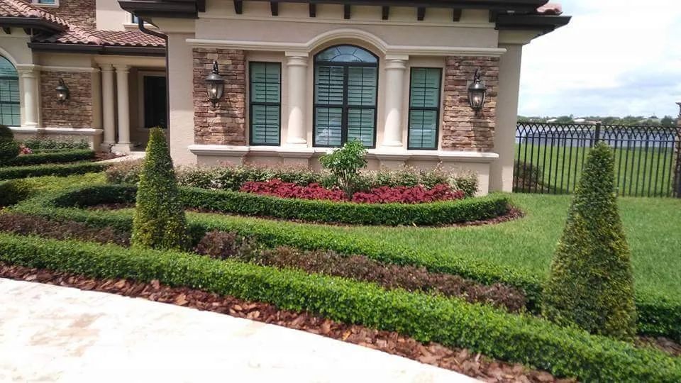 Top-rated landscaping services near you across Southwest Ranches, FL - Mary Dodge