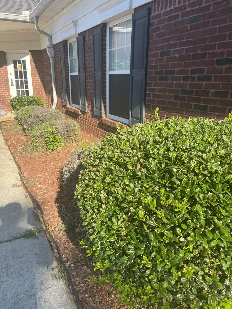 Top-rated lawn care service in Riverdale, GA by Mary Houston Landscaping Services