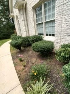 Trusted yard cleanup service experts serving Riverdale, GA - Mary Houston Landscaping Services