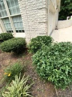 Local landscape installation for residential properties across Riverdale, GA - Mary Houston Landscaping Services