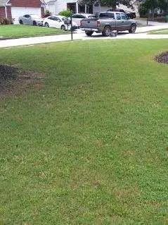 Professional yard maintenance experts serving Riverdale, GA - Mary Houston Landscaping Services