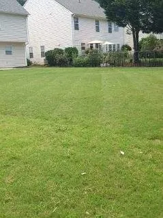 Trusted yard cleanup service in Riverdale, GA - Mary Houston Landscaping Services