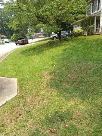 Custom yard cleanup service for outdoor upgrades across Riverdale, GA - Mary Houston Landscaping Services