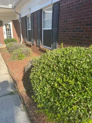 Mary Houston Landscaping Services