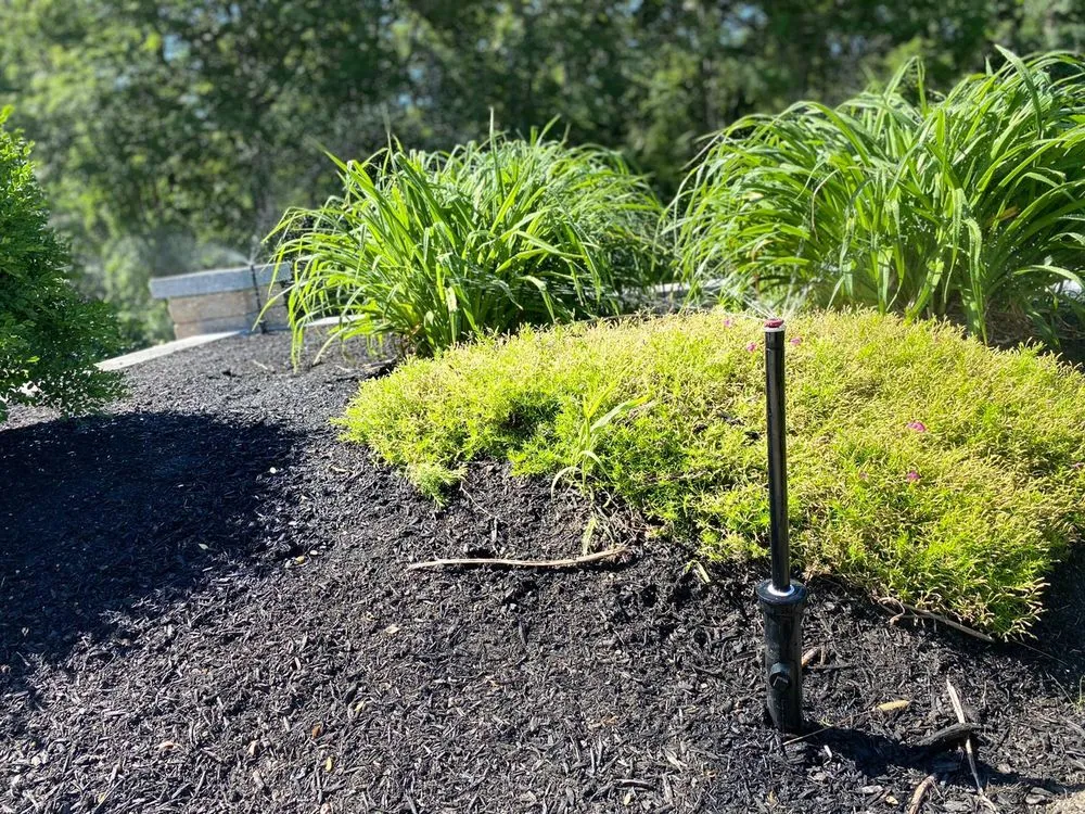 Trusted yard cleanup service near you across Leominster, MA - MaryJoe Irrigation & Lawn Care