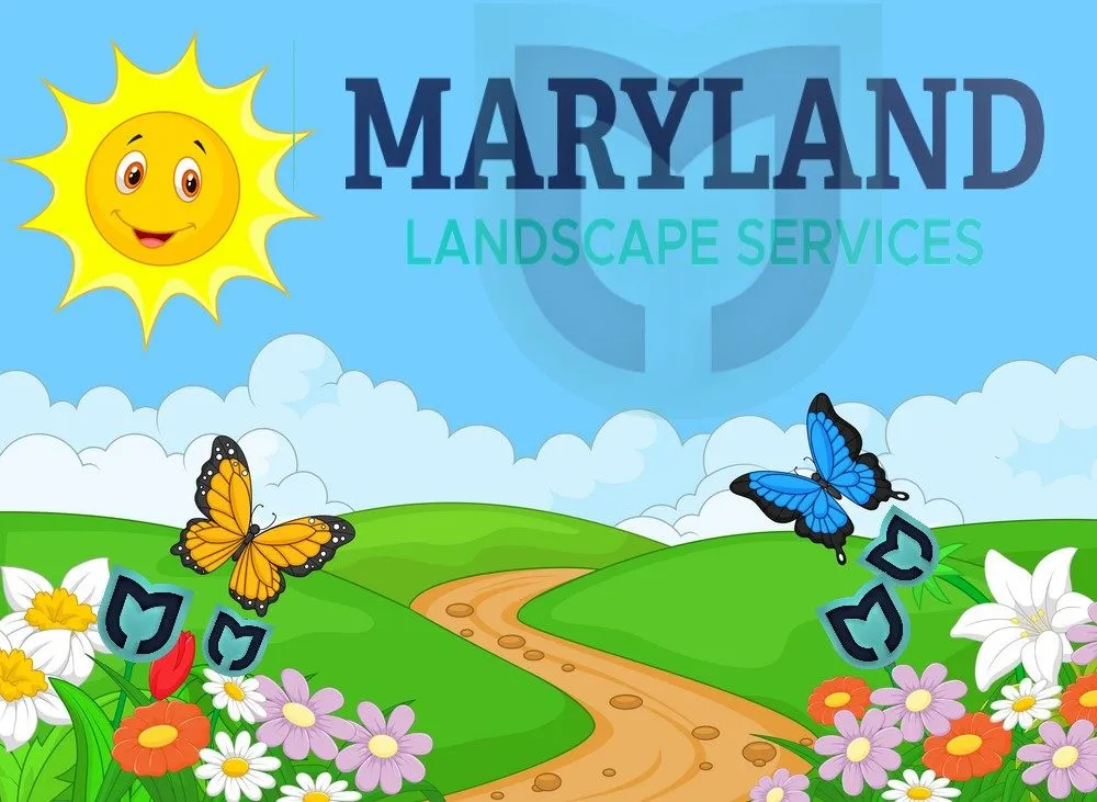 Trusted landscape installation in Pasadena, MD - Maryland Landscape Services