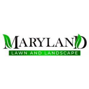 Custom yard cleanup service in Bowie, MD by Maryland Lawn And Landscape