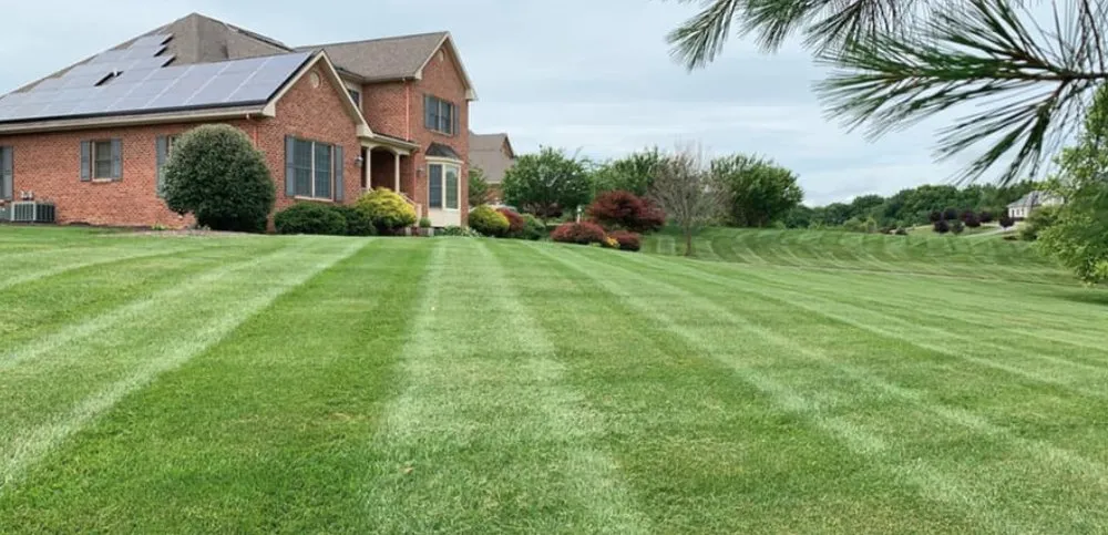 Affordable lawn mowing service experts serving Williamsport, MD - Maryland Lawns