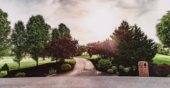 Top-rated yard cleanup service in Williamsport, MD - Maryland Lawns