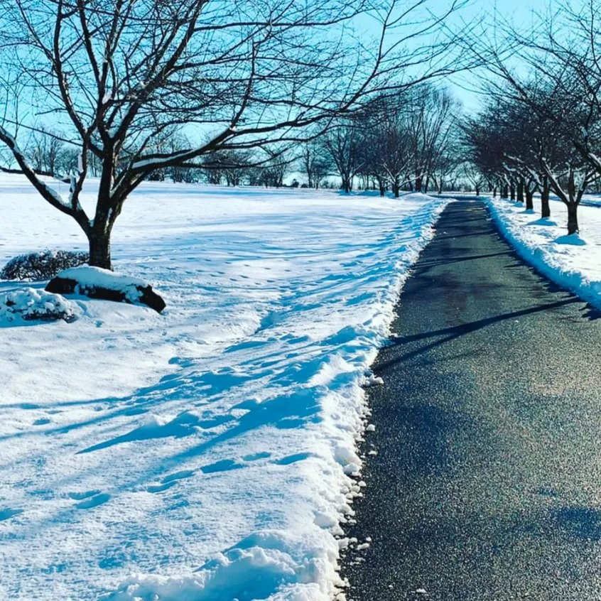 Local lawn care service experts serving Williamsport, MD - Maryland Lawns