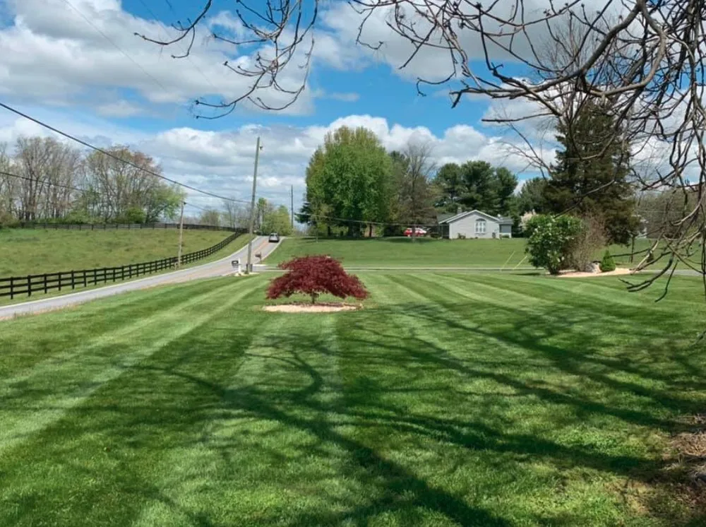 Affordable lawn care service in Williamsport, MD - Maryland Lawns