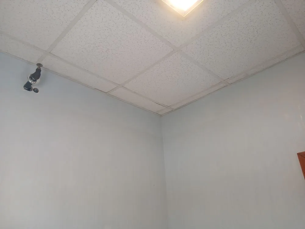 Top-rated garden landscaping with custom design in Westminster, MD by Maryland Maintenance