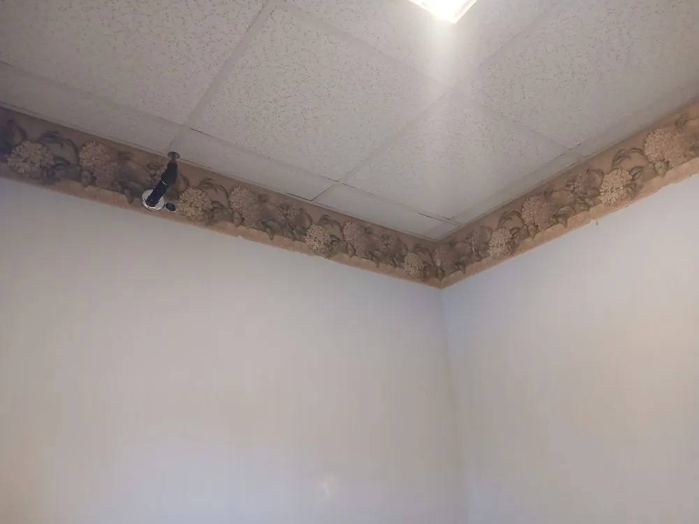 Professional lawn mowing service in Westminster, MD - Maryland Maintenance