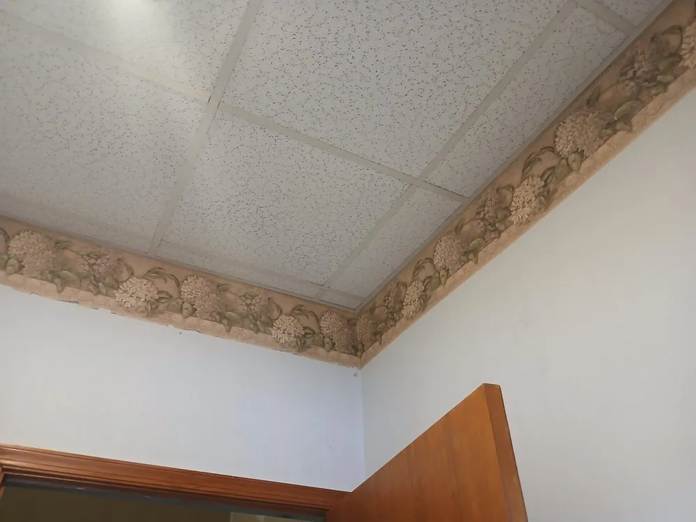 Expert landscaping services in Westminster, MD by Maryland Maintenance