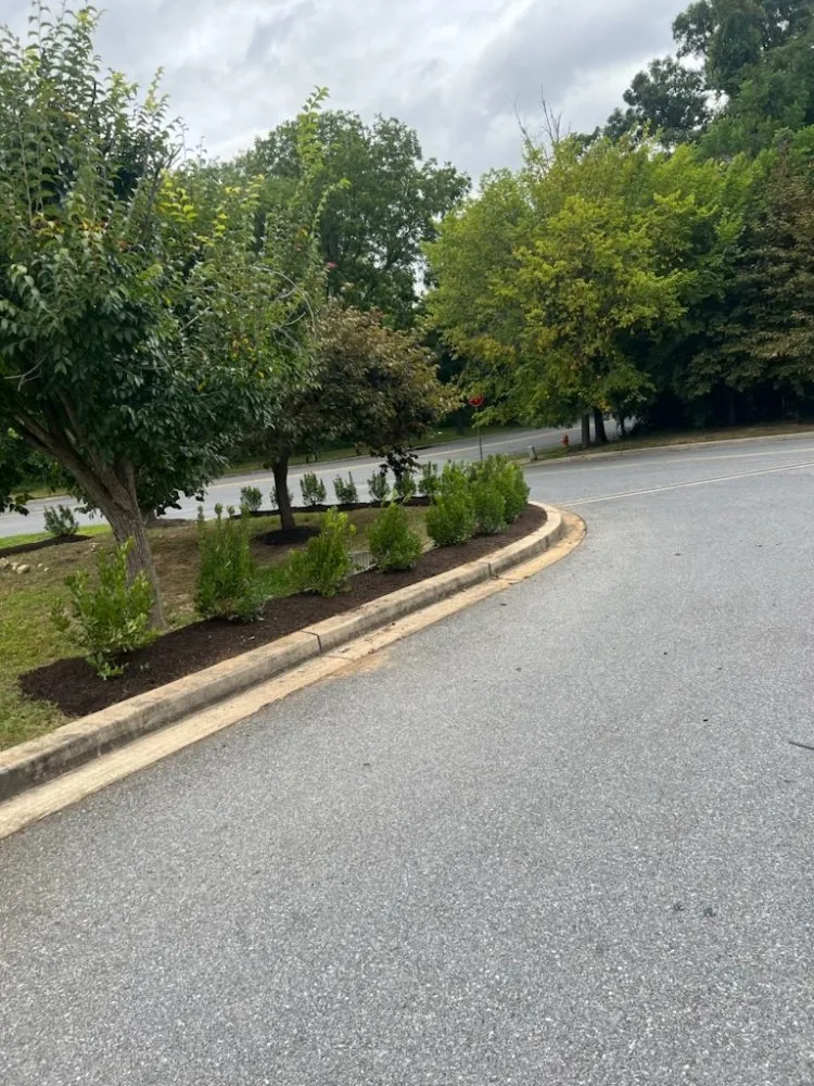 Expert yard maintenance near you in Nottingham, MD by Maryland Total Land Care