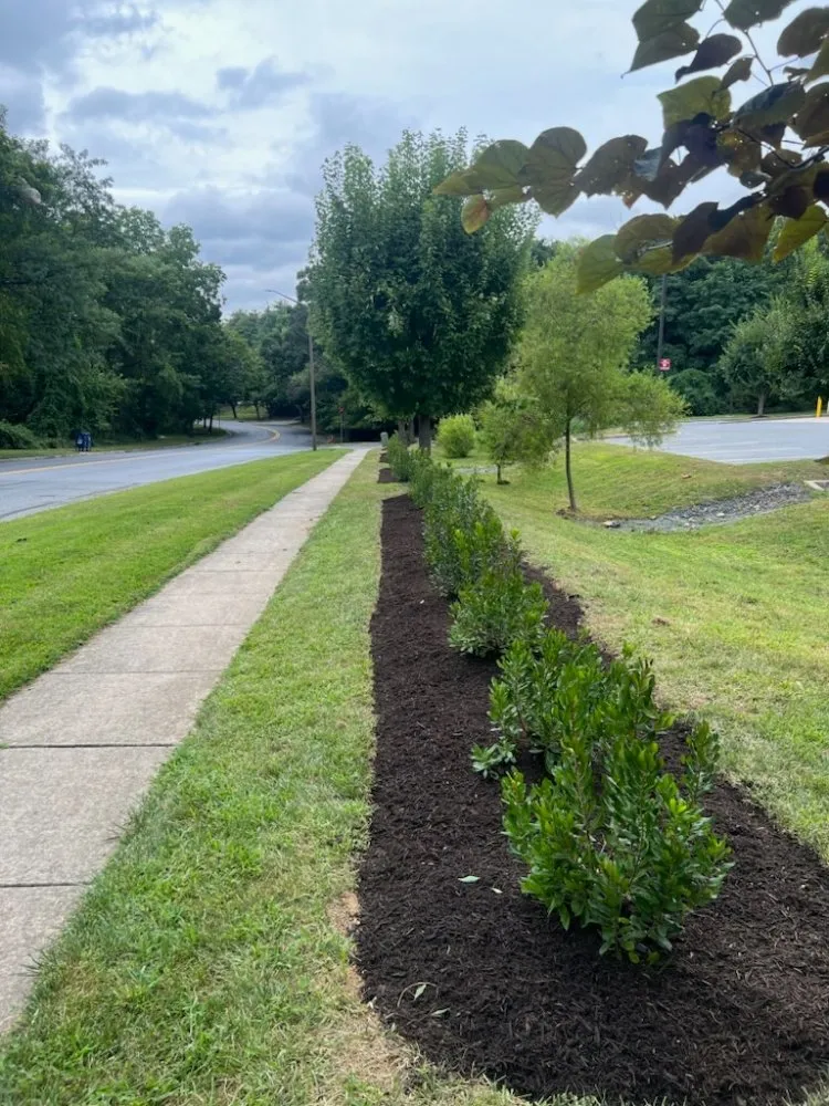 Top-rated yard maintenance for outdoor upgrades across Nottingham, MD - Maryland Total Land Care