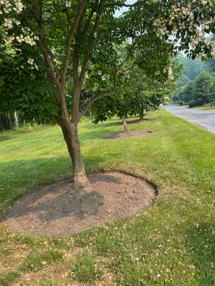 Top-rated residential landscaping experts serving Nottingham, MD - Maryland Total Land Care