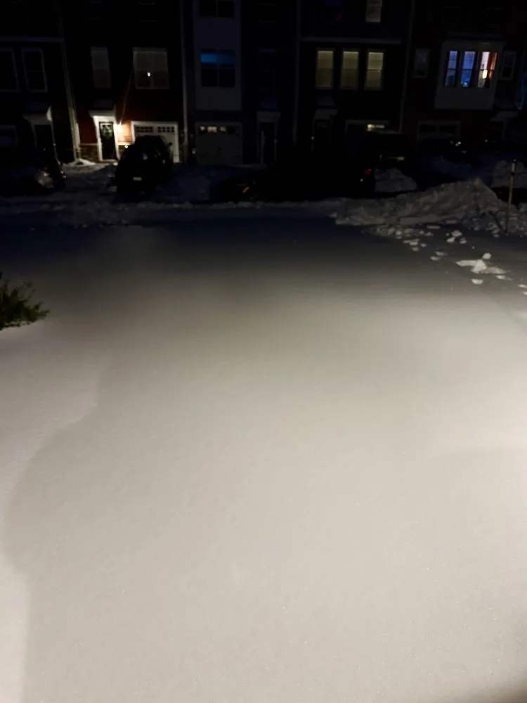 Affordable residential landscaping in Nottingham, MD - Maryland Total Land Care