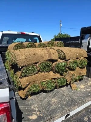 Maryland Total Land Care Logo