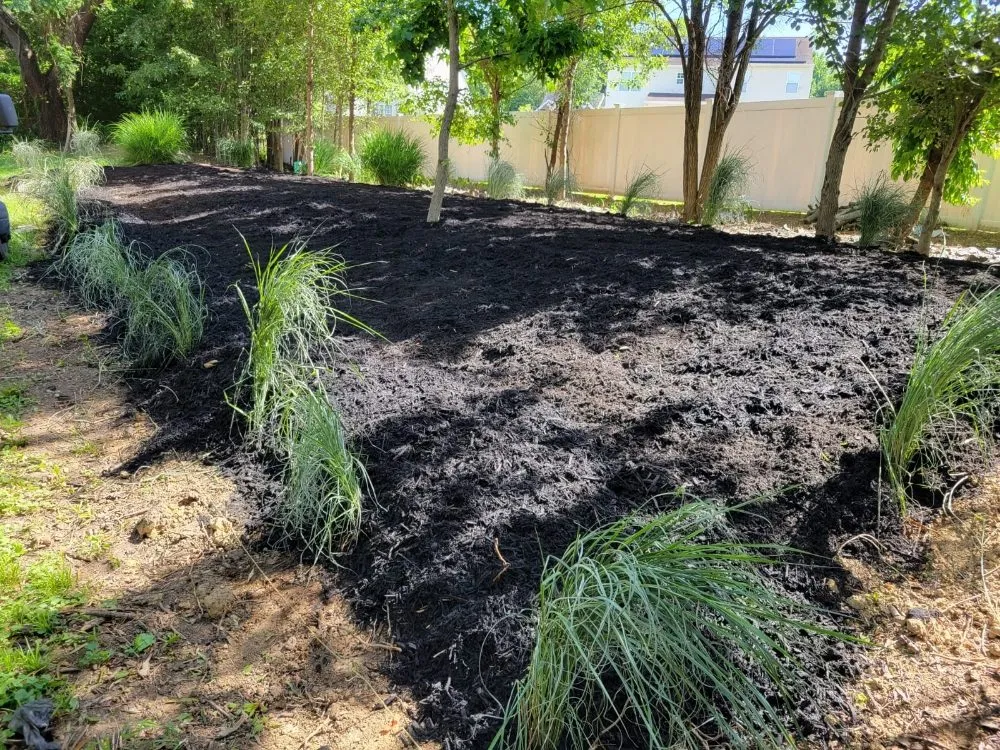 Local yard maintenance in Greenbelt, MD by Marylanders