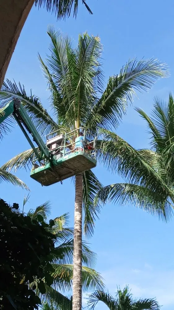 Trusted residential landscaping for beautiful yards across Loxahatchee, FL - Mary&Peters Tree Trimming