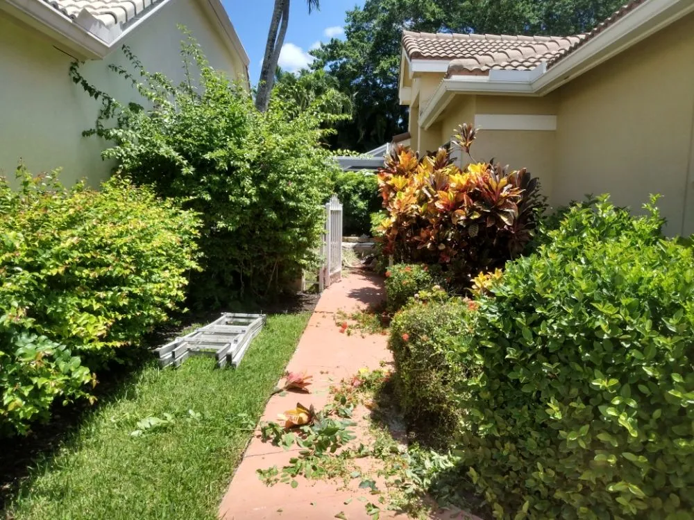 Trusted outdoor landscaping in Loxahatchee, FL by Mary&Peters Tree Trimming