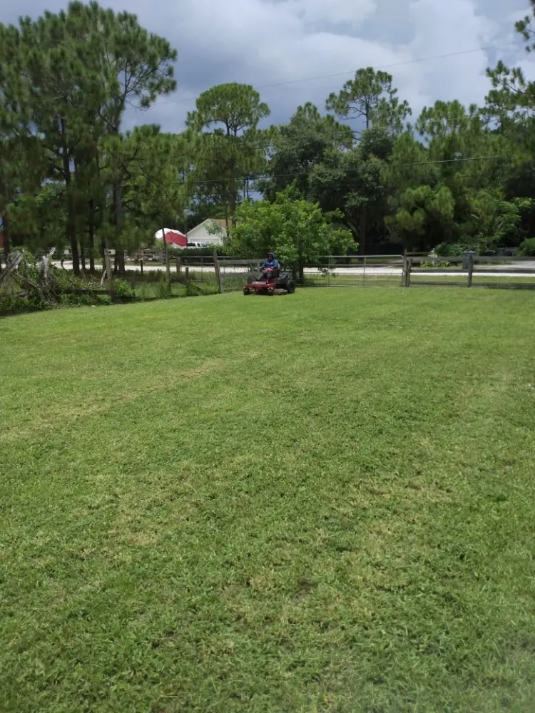 Expert garden landscaping in Loxahatchee, FL - Mary&Peters Tree Trimming