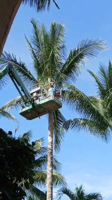 Mary&Peters Tree Trimming Logo