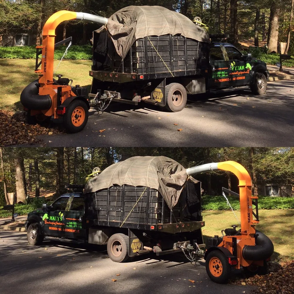 Local lawn care service in Baltimore, MD - Mary's Landscaping Services