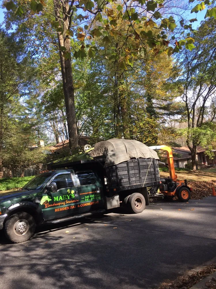 Professional outdoor landscaping experts serving Baltimore, MD - Mary's Landscaping Services