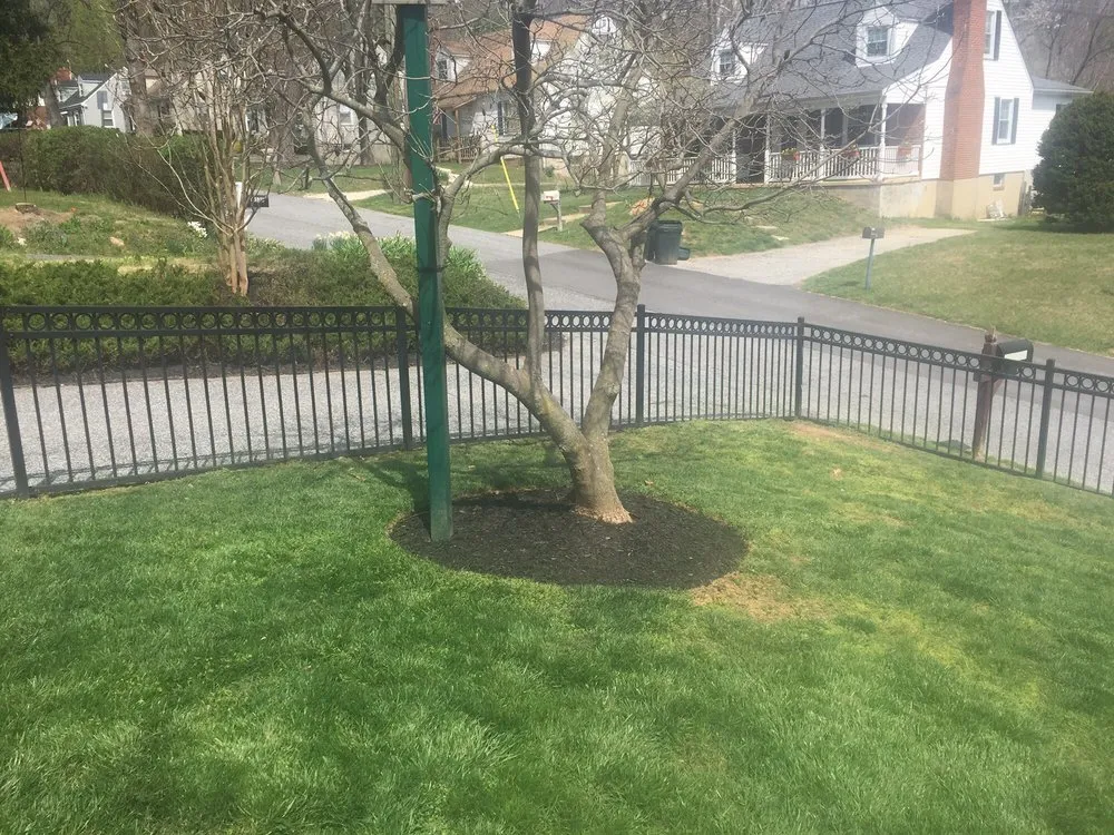 Trusted residential landscaping in Baltimore, MD by Mary's Landscaping Services