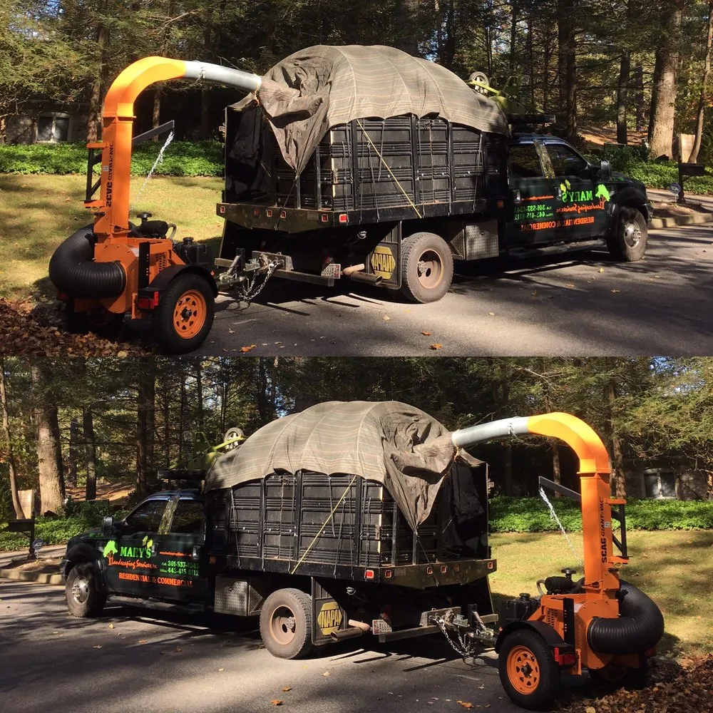 Affordable landscape installation for residential properties in Baltimore, MD by Mary's Landscaping Services