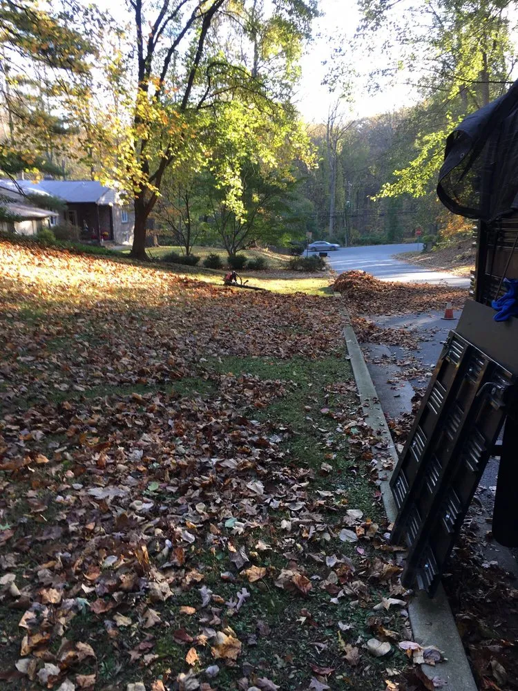 Trusted landscaping services with custom design in Baltimore, MD by Mary's Landscaping Services