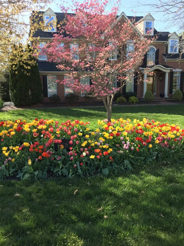 Expert residential landscaping near you in Baltimore, MD by Mary's Landscaping Services