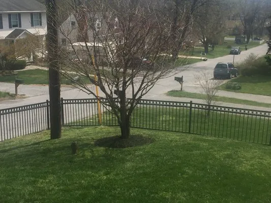 Mary's Landscaping Services Logo