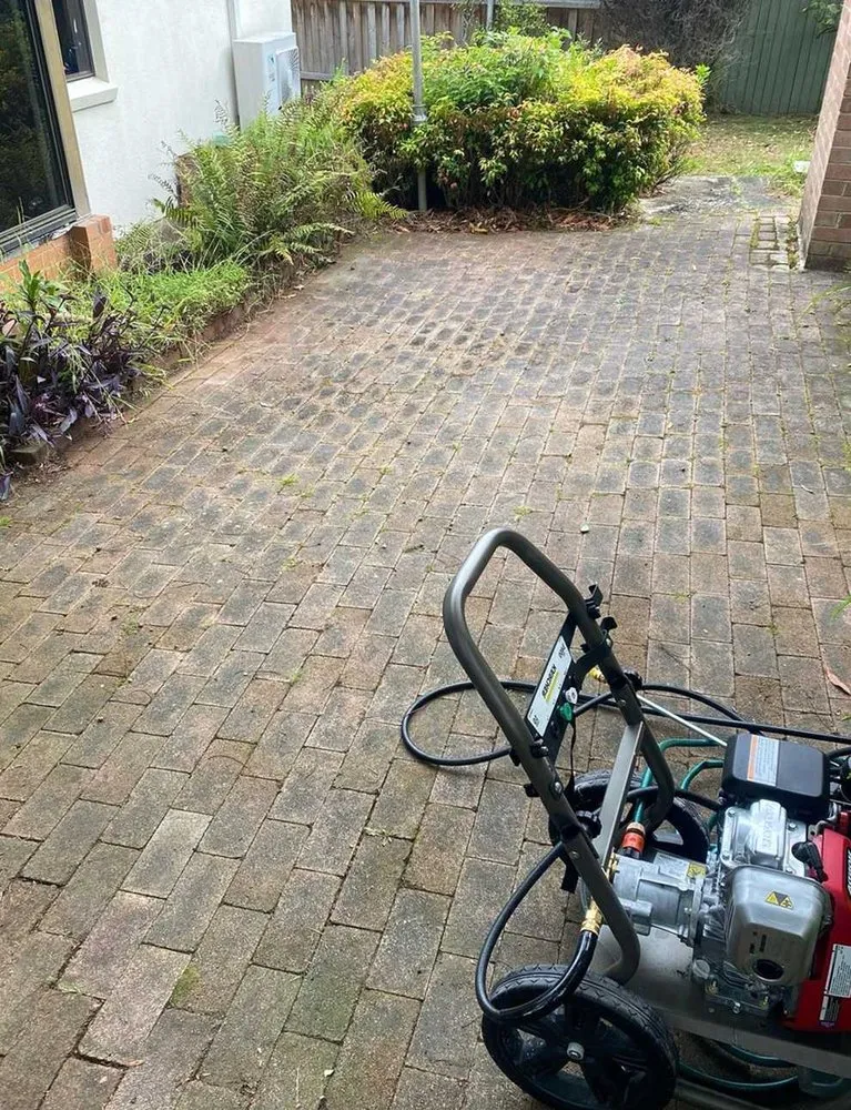 Custom yard cleanup service in Phoenix, AZ - Maryvale Lawn Care