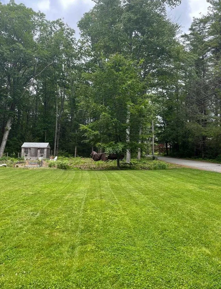 Reliable lawn care service for outdoor upgrades in Phoenix, AZ by Maryvale Lawn Care