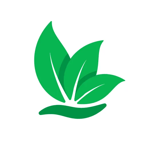 Affordable yard cleanup service in Phoenix, AZ by Maryvale Lawn Care