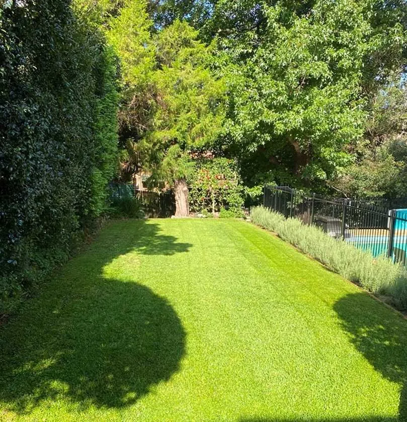 Trusted lawn care service with custom design across Phoenix, AZ - Maryvale Lawn Care