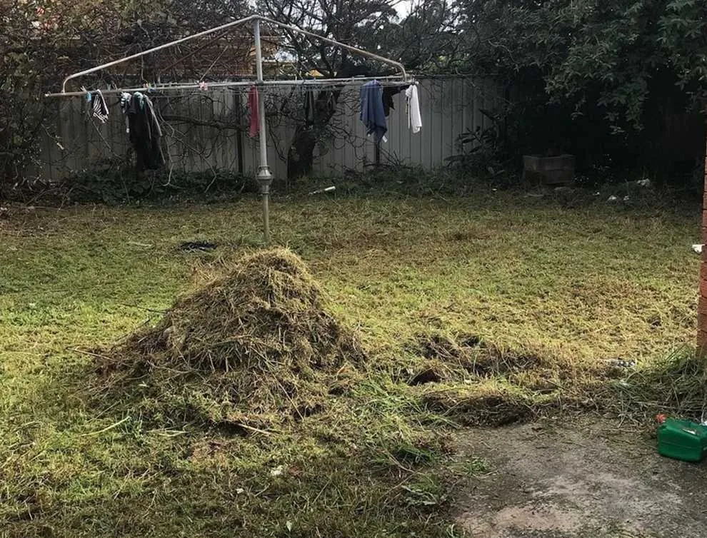 Top-rated landscape design for residential properties across Phoenix, AZ - Maryvale Lawn Care