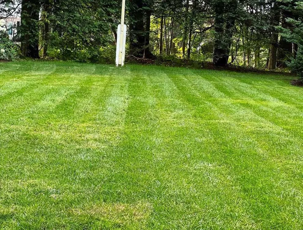 Expert garden landscaping for residential properties across Phoenix, AZ - Maryvale Lawn Care