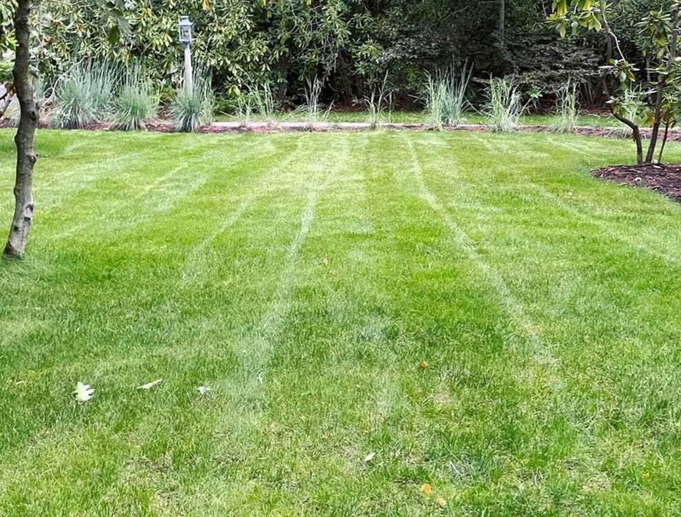 Affordable landscape installation for residential properties across Phoenix, AZ - Maryvale Lawn Care