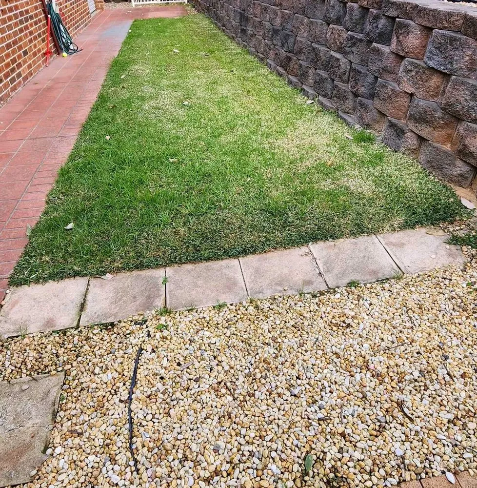 Professional lawn care service for homes in Phoenix, AZ by Maryvale Lawn Care