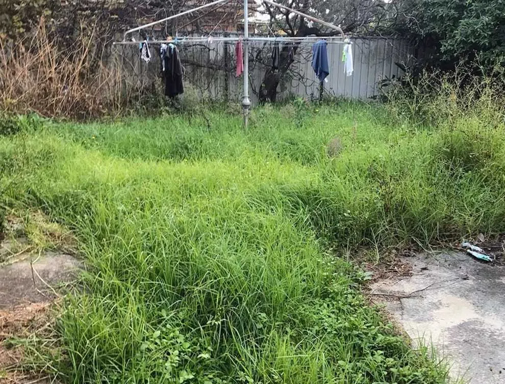 Affordable lawn mowing service with custom design across Phoenix, AZ - Maryvale Lawn Care