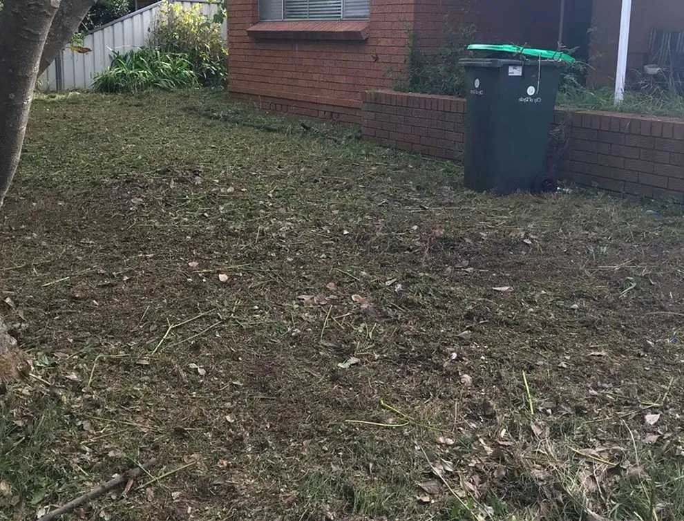 Affordable landscaping services for outdoor upgrades in Phoenix, AZ by Maryvale Lawn Care